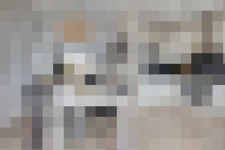 Wilsonstraat 37 Goes thumbnail 8