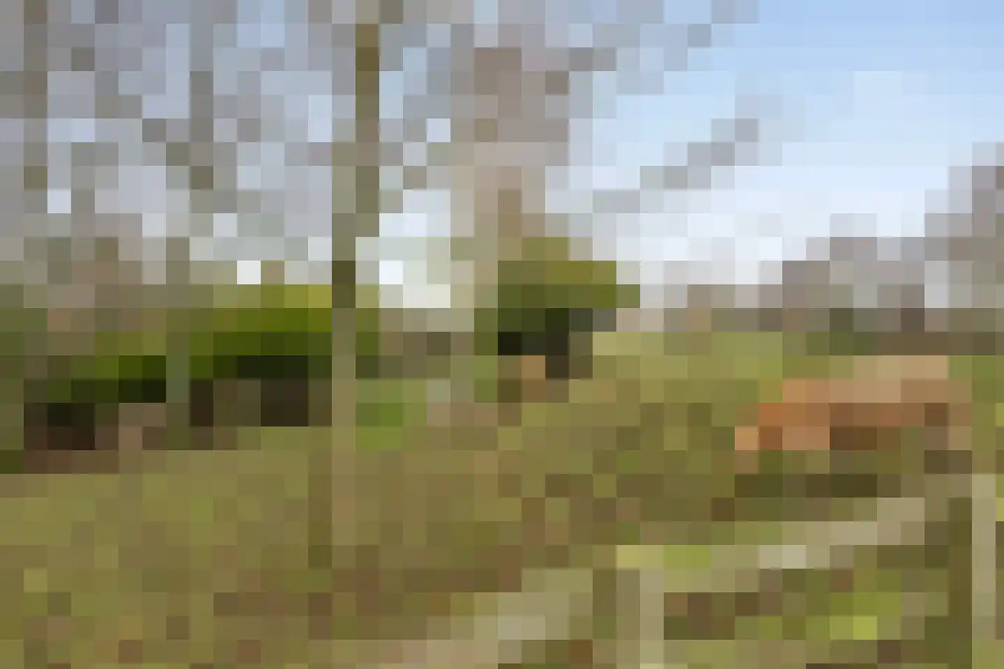 Wilsonstraat 62 Hoofddorp thumbnail 39