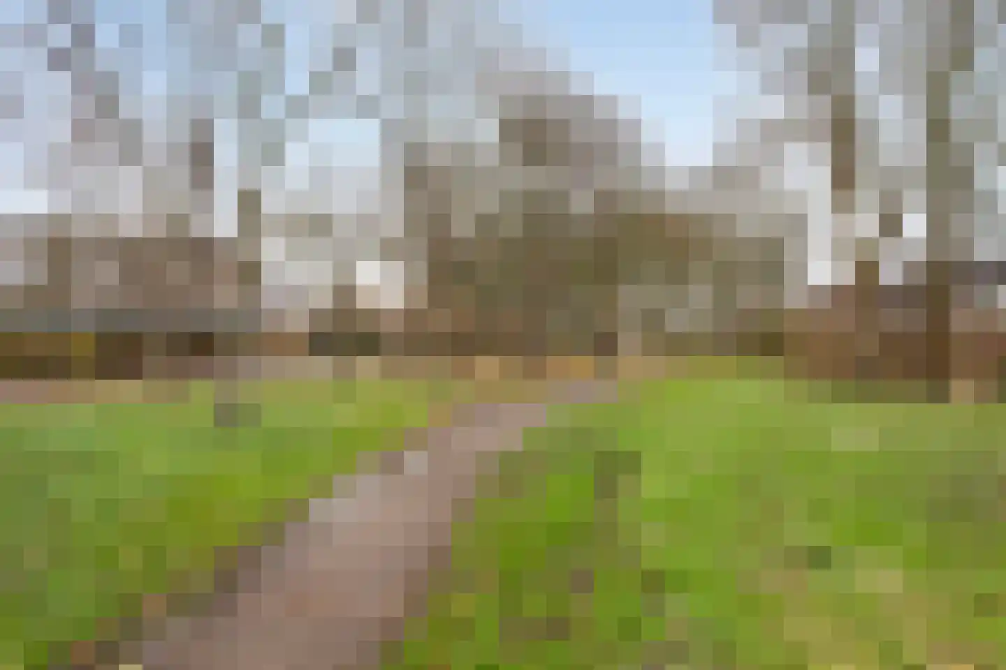 Wilsonstraat 62 Hoofddorp thumbnail 4