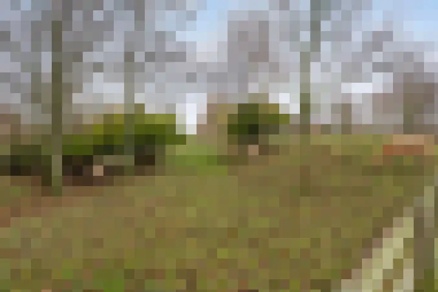 Wilsonstraat 62 Hoofddorp thumbnail 40