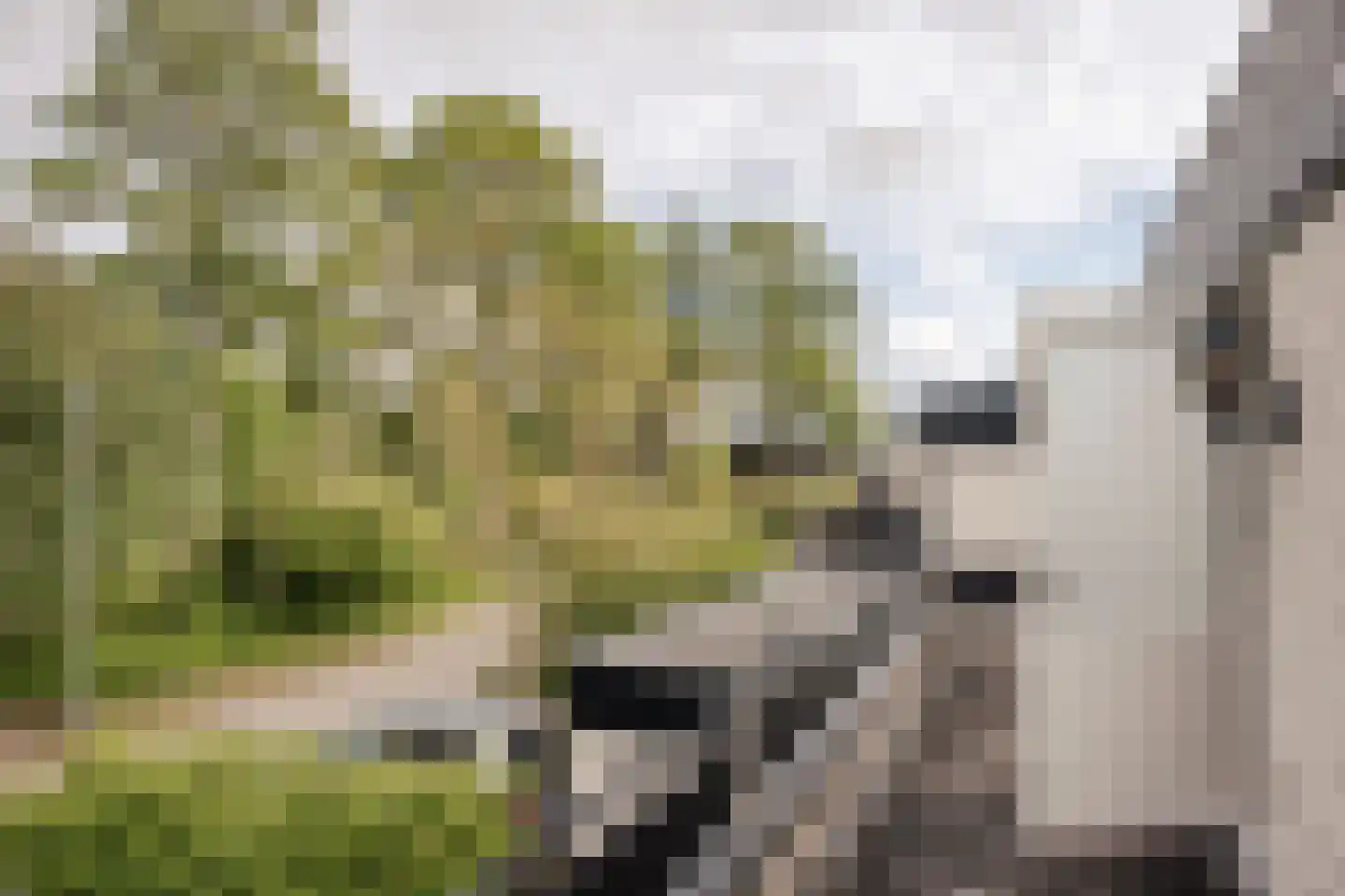 Wilsonstraat 97 Hoofddorp thumbnail 47