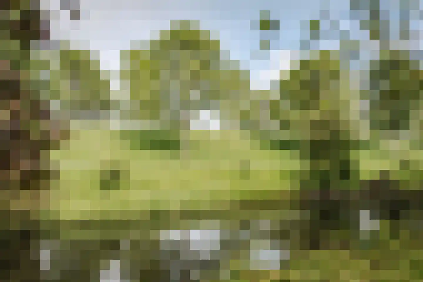 Wilsonstraat 97 Hoofddorp thumbnail 57