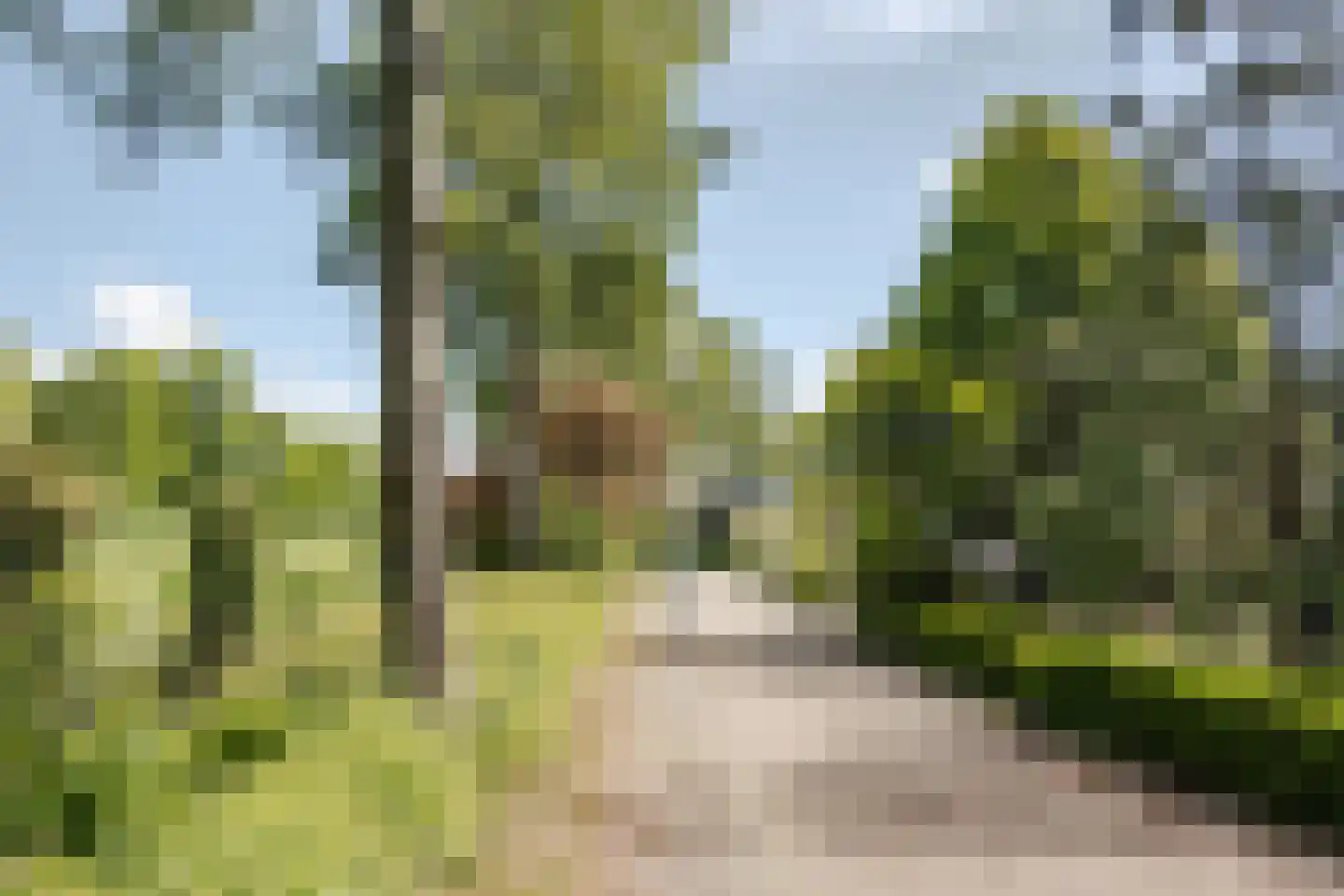 Wilsonstraat 97 Hoofddorp thumbnail 58