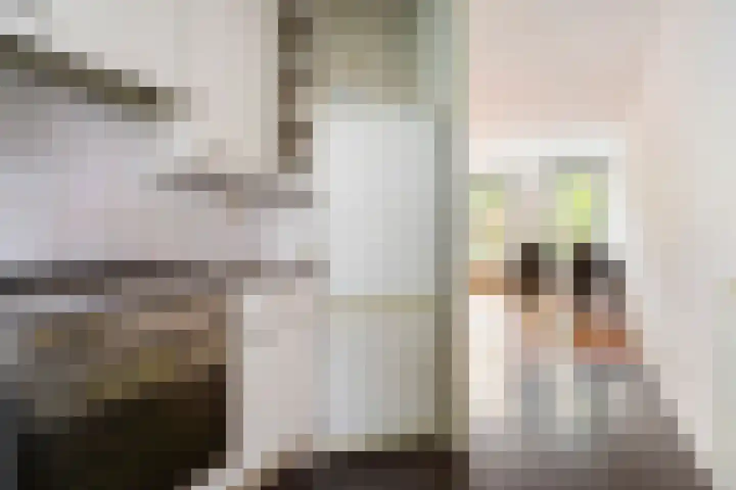 Wilsstraat 20 Groningen thumbnail 16