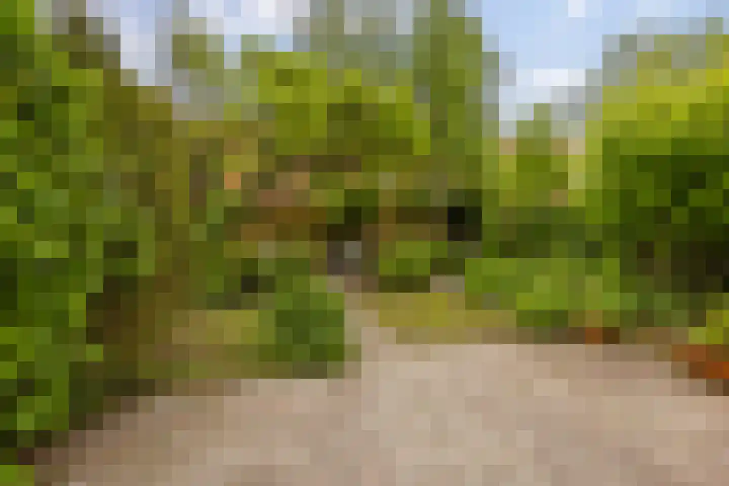Wilsstraat 20 Groningen thumbnail 32