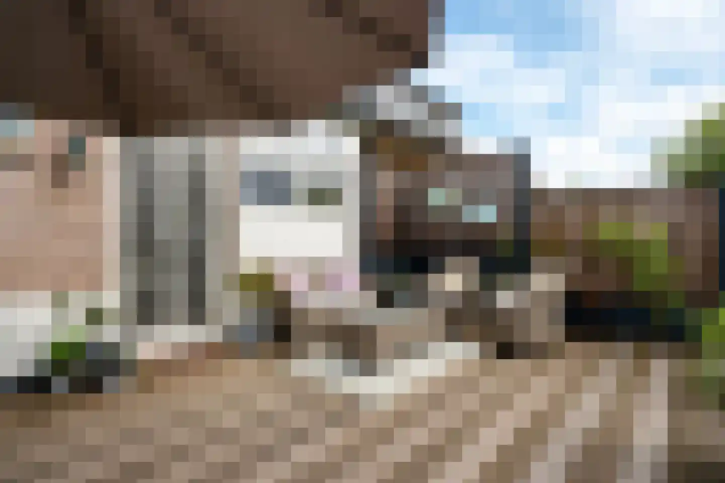 Wilsveen 20 Leidschendam thumbnail 13
