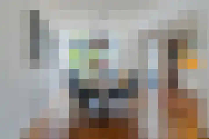 Wilteindstraat 17 Goirle thumbnail 10
