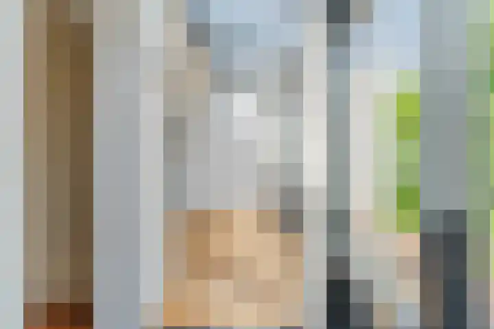 Wilteindstraat 17 Goirle thumbnail 11
