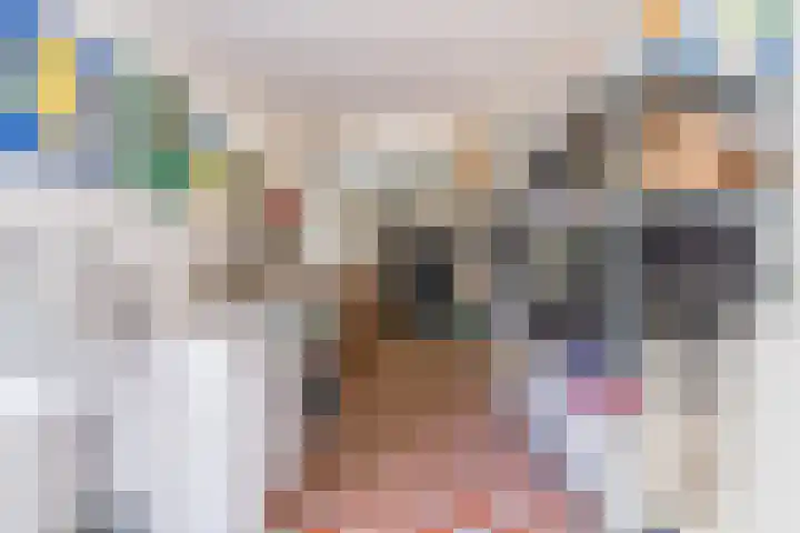 Wilteindstraat 17 Goirle thumbnail 35