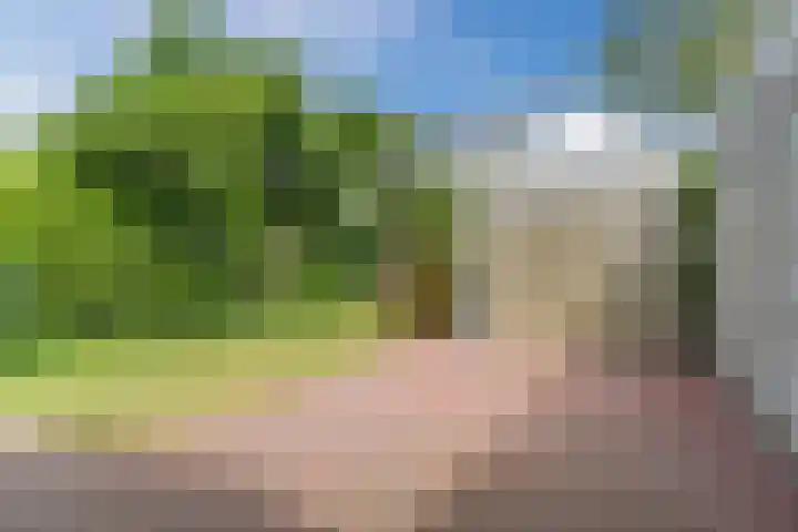 Wilteindstraat 17 Goirle thumbnail 38