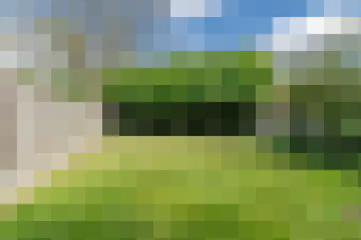 Wilteindstraat 17 Goirle thumbnail 39