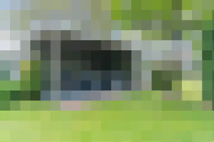 Wilteindstraat 17 Goirle thumbnail 41