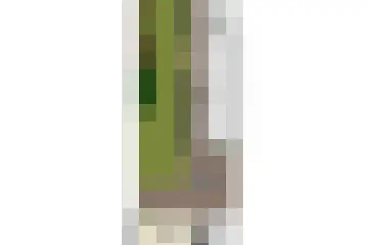 Wilteindstraat 17 Goirle thumbnail 55