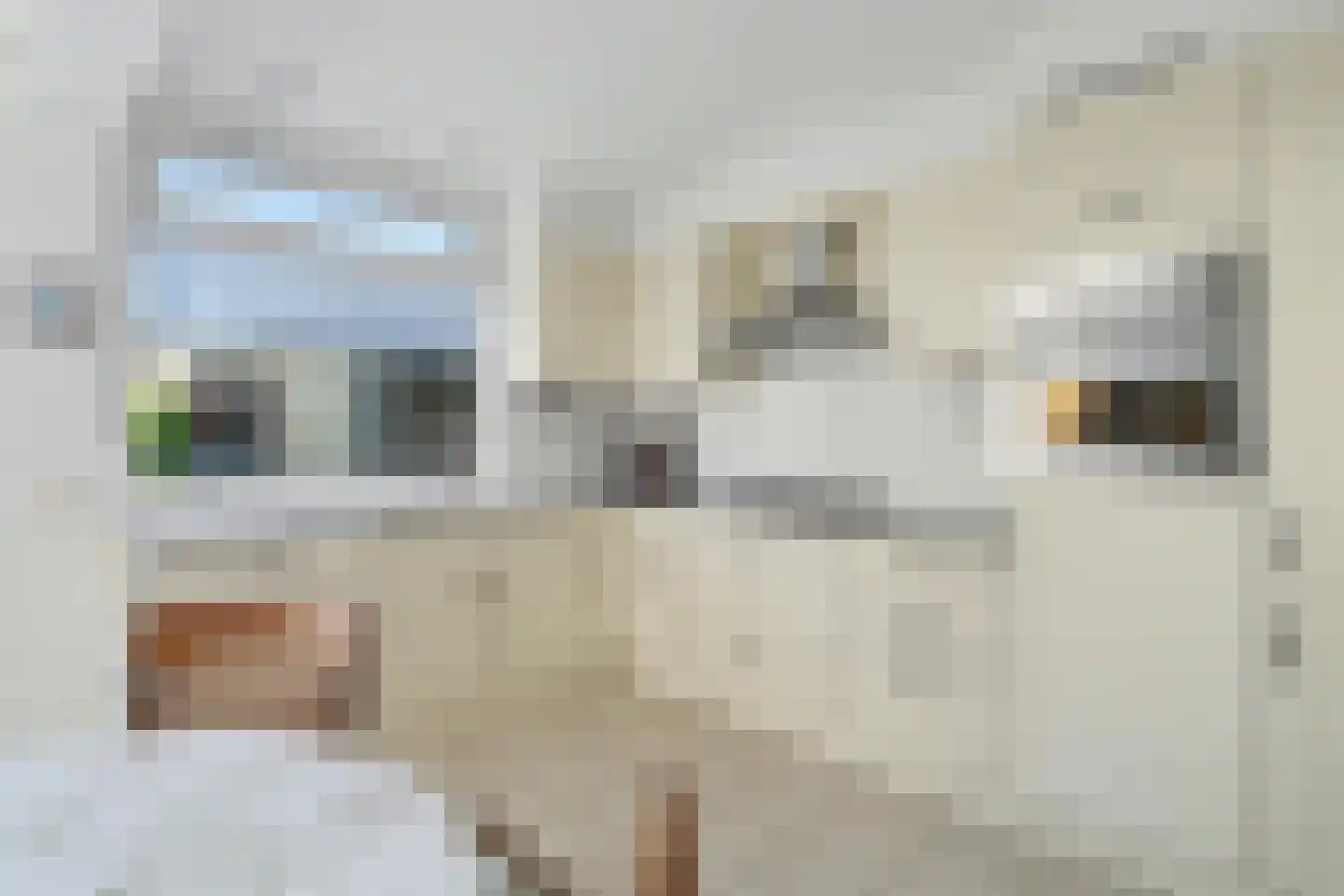 Wilteindstraat 5 Goirle thumbnail 14