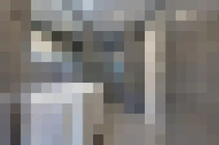 Wiltenmaat 4 Roden thumbnail 28