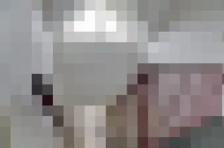Wiltenmaat 4 Roden thumbnail 32