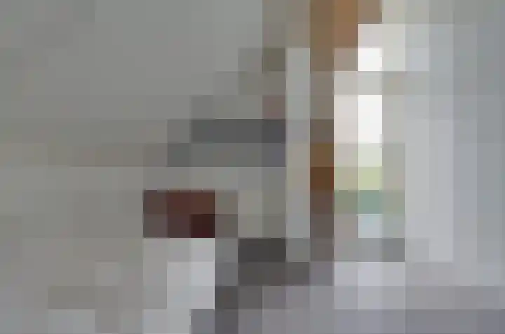 Wiltenmaat 4 Roden thumbnail 37