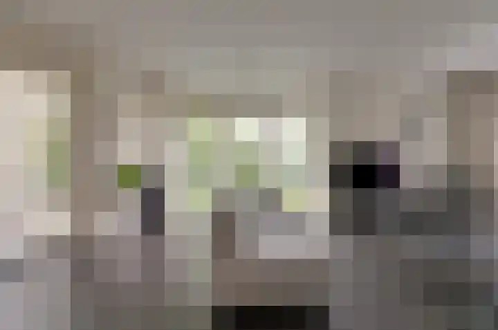 Wiltenmaat 4 Roden thumbnail 4