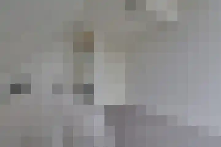 Wiltenmaat 4 Roden thumbnail 40