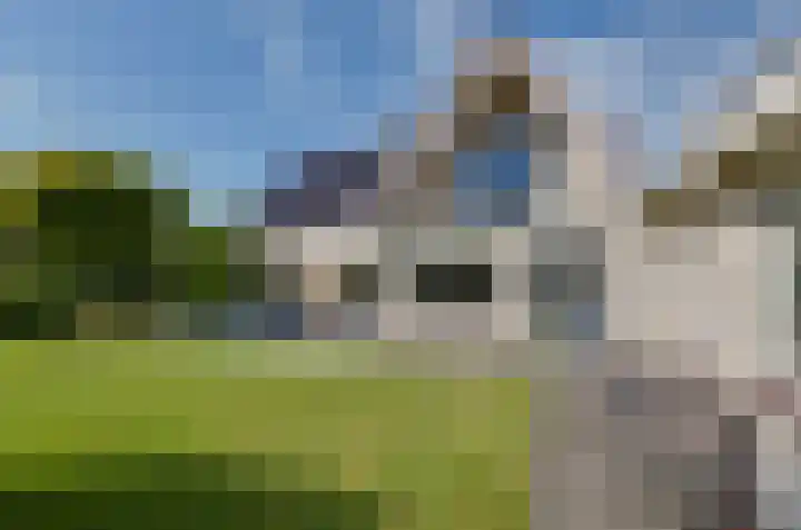 Wiltenmaat 4 Roden thumbnail 48