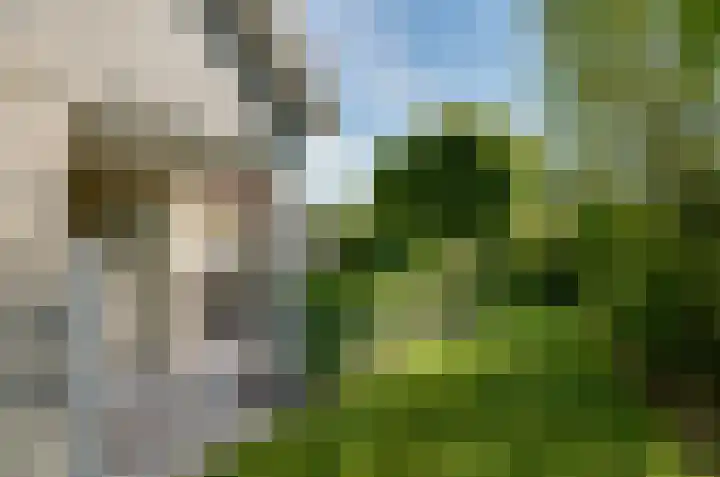 Wiltenmaat 4 Roden thumbnail 54