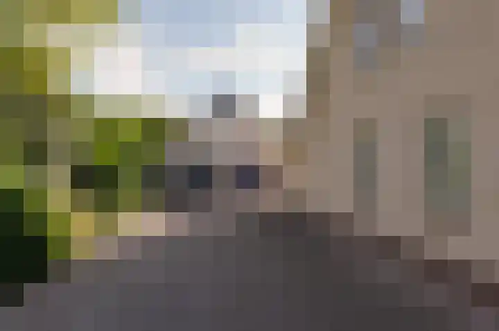 Wiltenmaat 4 Roden thumbnail 55