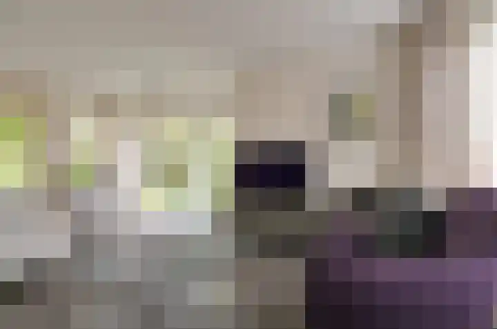 Wiltenmaat 4 Roden thumbnail 6