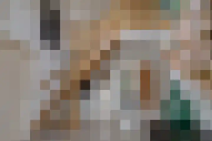 Wiltenmaat 8 Roden thumbnail 12