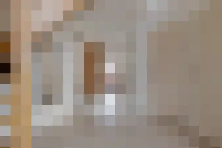 Wiltenmaat 8 Roden thumbnail 13