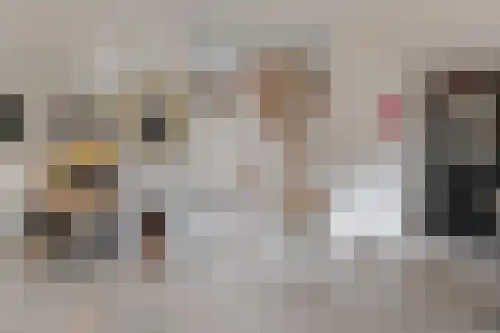 Wiltenmaat 8 Roden thumbnail 14