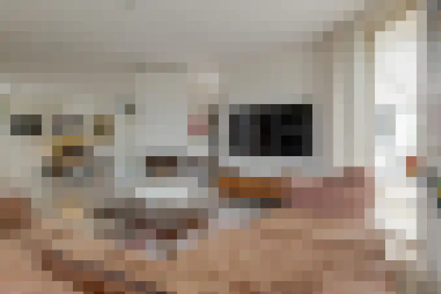 Wiltenmaat 8 Roden thumbnail 18