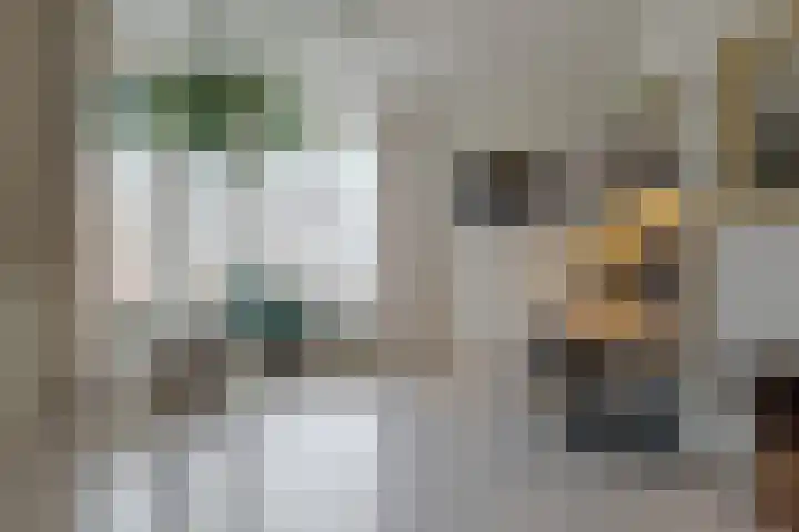 Wiltenmaat 8 Roden thumbnail 22