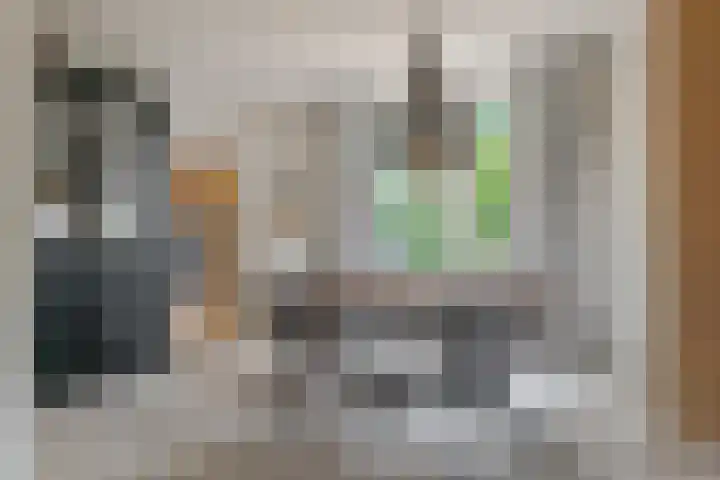 Wiltenmaat 8 Roden thumbnail 24