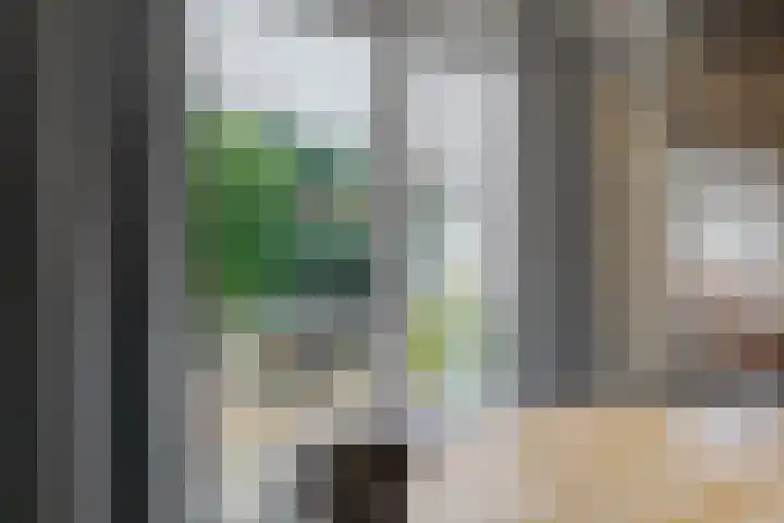 Wiltenmaat 8 Roden thumbnail 26