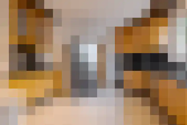Wiltenmaat 8 Roden thumbnail 27