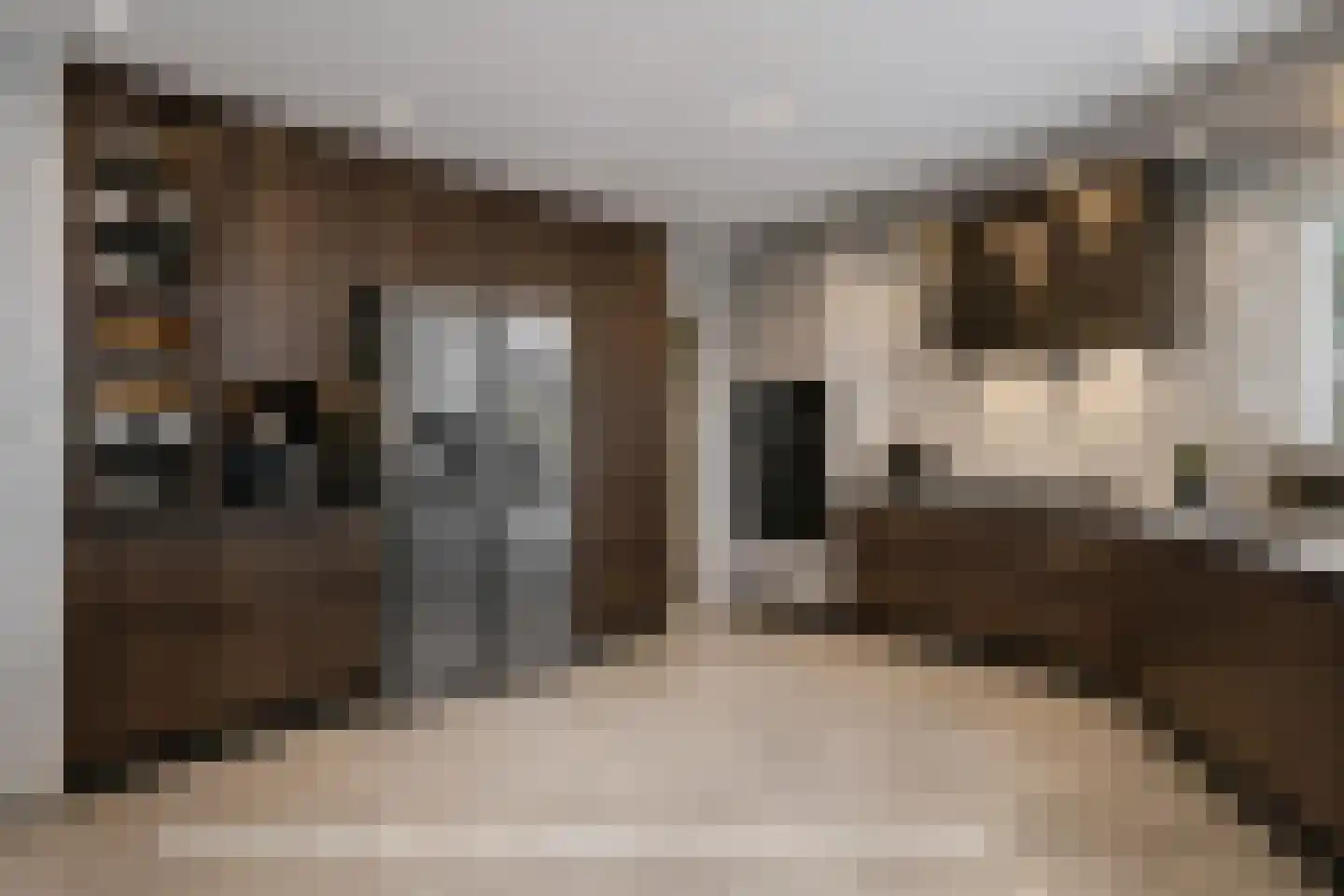 Wiltenmaat 8 Roden thumbnail 28