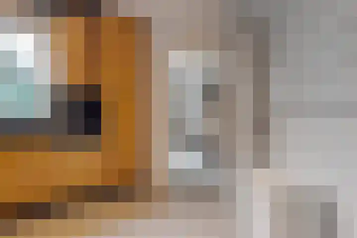 Wiltenmaat 8 Roden thumbnail 28