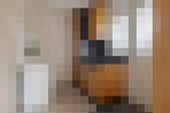 Wiltenmaat 8 Roden thumbnail 30