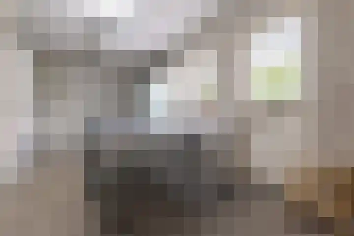 Wiltenmaat 8 Roden thumbnail 32