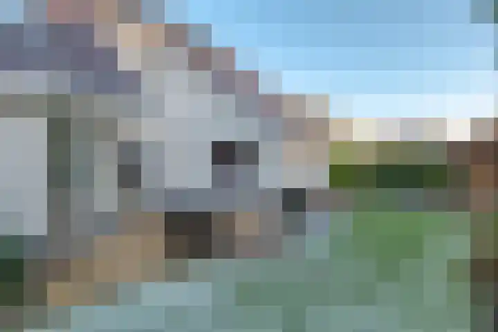 Wiltenmaat 8 Roden thumbnail 37