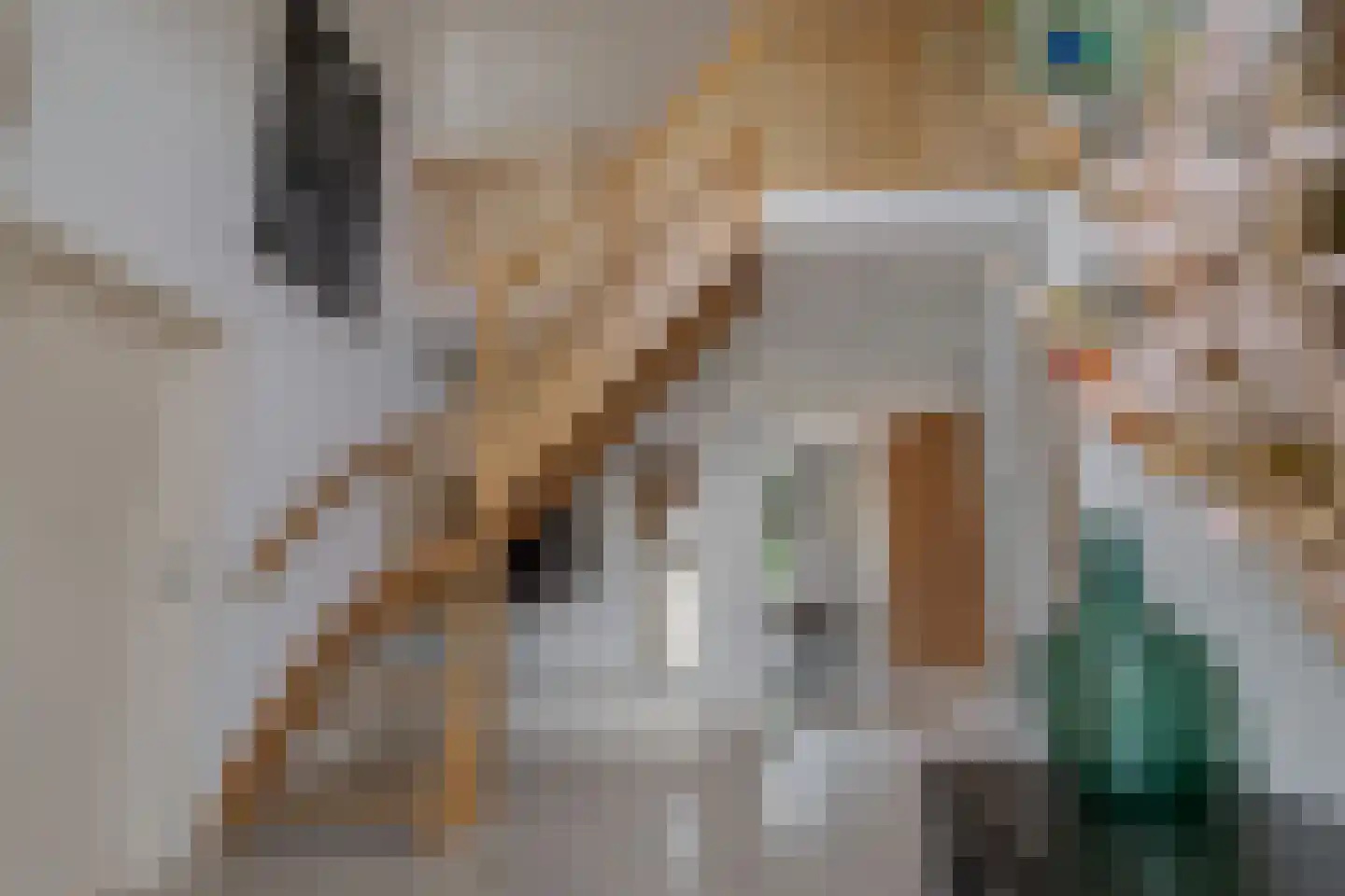 Wiltenmaat 8 Roden thumbnail 4