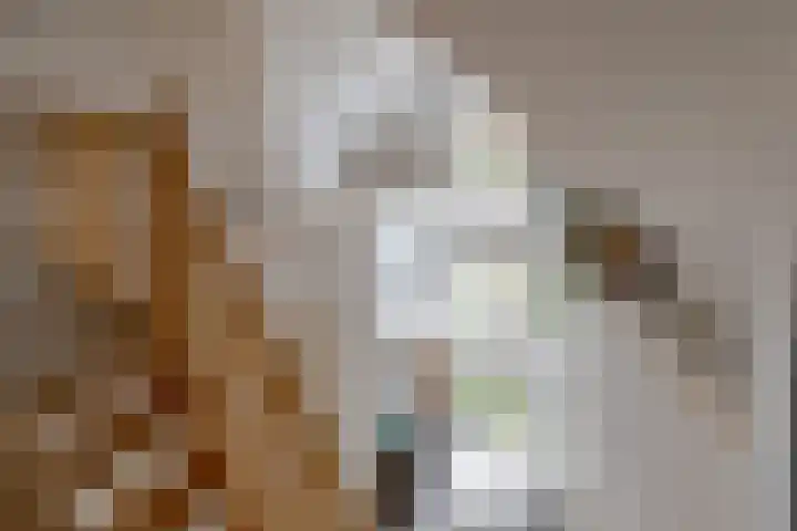 Wiltenmaat 8 Roden thumbnail 45