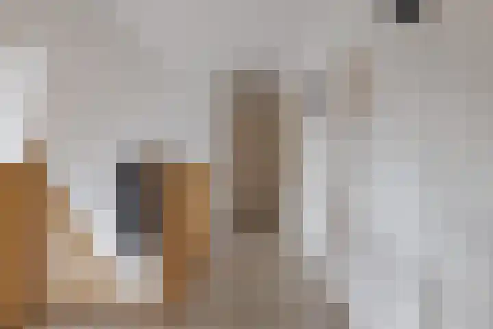 Wiltenmaat 8 Roden thumbnail 46