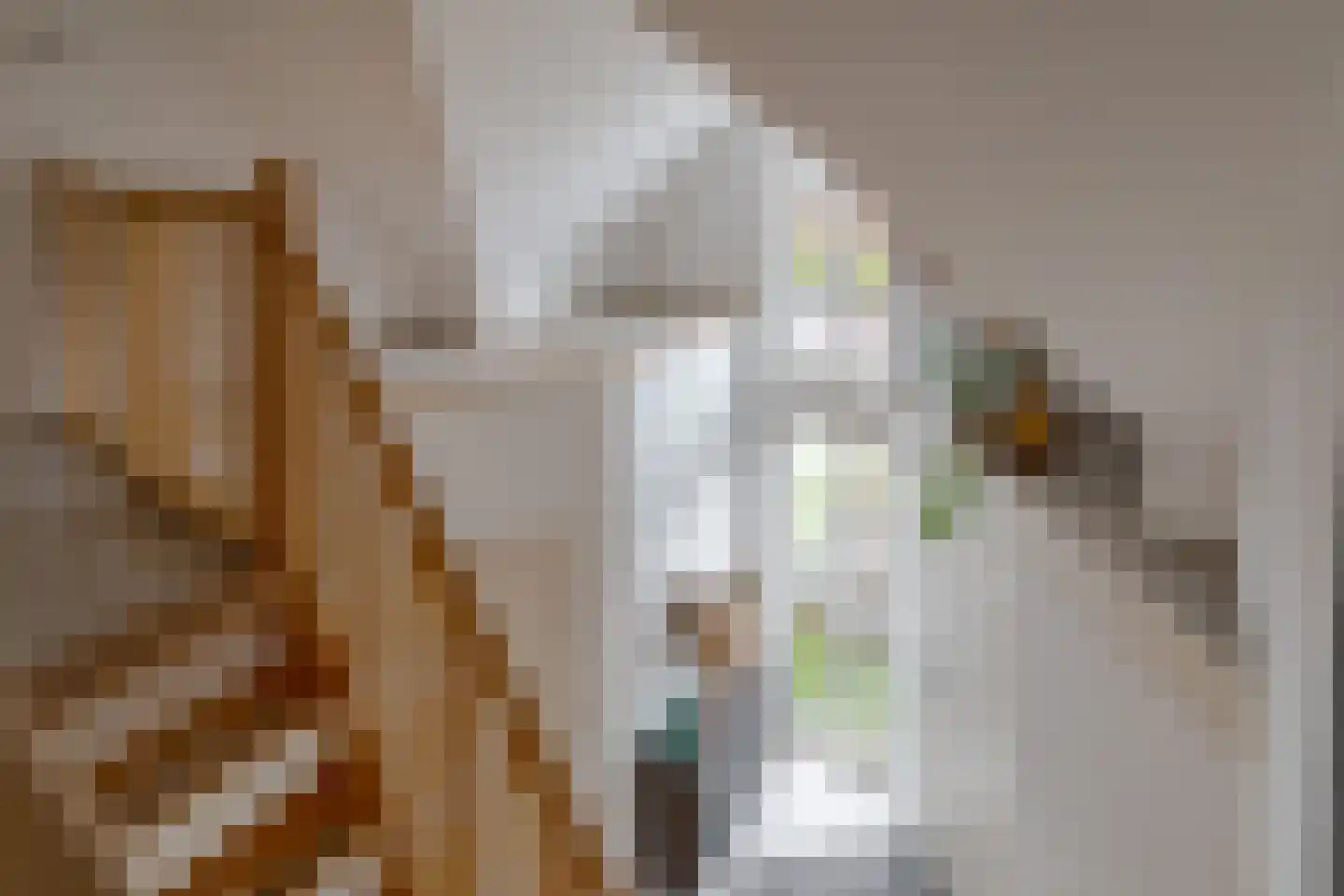 Wiltenmaat 8 Roden thumbnail 46