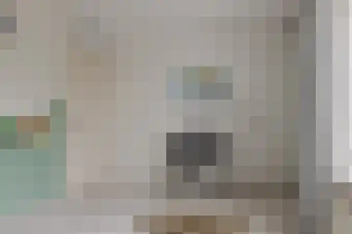 Wiltenmaat 8 Roden thumbnail 56
