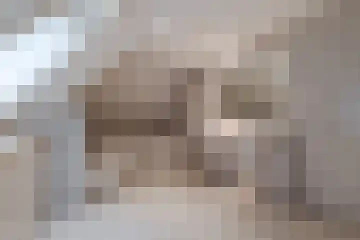 Wiltenmaat 8 Roden thumbnail 60
