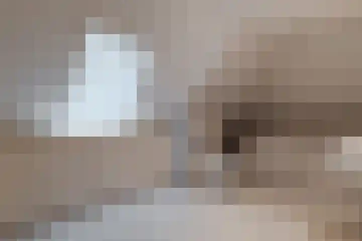 Wiltenmaat 8 Roden thumbnail 61