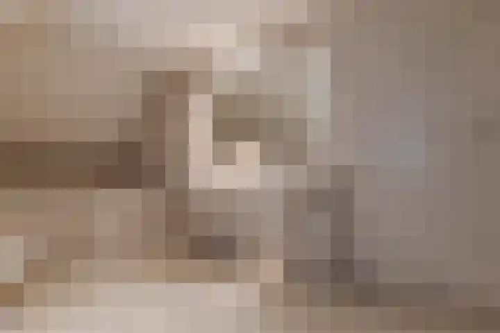 Wiltenmaat 8 Roden thumbnail 62