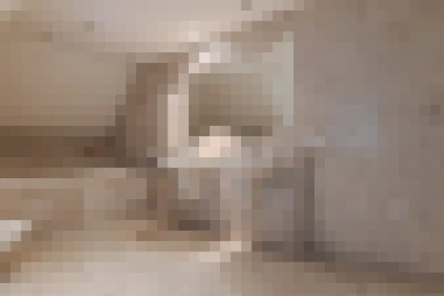 Wiltenmaat 8 Roden thumbnail 63