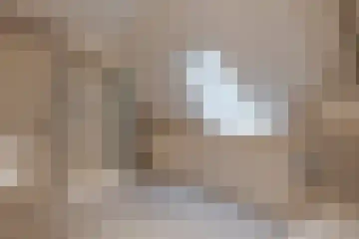 Wiltenmaat 8 Roden thumbnail 63